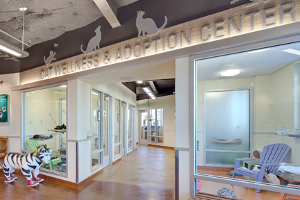 Adoption Center Inside