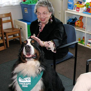 OwenTherapyDog