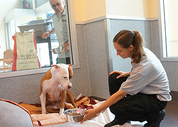Animal Care & Sheltering - Peninsula Humane Society & SPCA