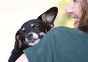 Vaccination and Microchip Clinic @ Coyote Point Shelter | San Mateo | California | United States