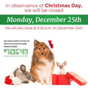 Say No to Pets as Christmas Presents! - Midland Humane Coalition