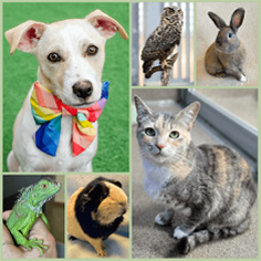 Shelter Stories – 2025 Year in Review