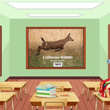 ClassroomPresentations Classroom Presentations