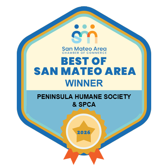 best-of-badge (1)