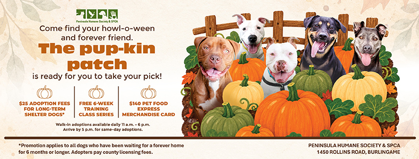 Pumpkin Patch fbad 820x312