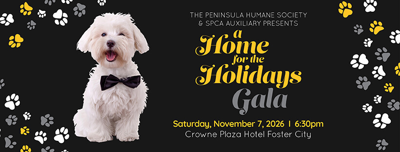 gala ad size(1) A Home for the Holidays Gala